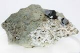 Lustrous Anatase and Albite Crystal Association - Pakistan #210746-1